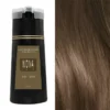 S698fdaf8e31048ab8732185af39338e4F.webp Nova Hair Dyeing 3-in-1 Hair Care Shampoo Natural Fast White Hair Dyed Black Hair Dye Lasting Convenience Men Women Hair Care