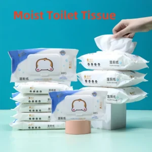 S91803590482f4d5b98ced5b865009b9cd.webp 80 pieces/pack, wet toilet paper, for men and women to clean their private parts, wipe their buttocks, antibacterial toilet wet