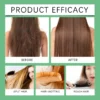 Sc9112d66ccec43628e3d636ca1ae283fD.webp Natural Rosemary Hair Shampoo Reduce Hair Loss Clean Dandruff Nourish Moisturize Scalp Improve Hair Quality Hair Care Product