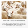Se998c113bdfd432caf069392659c9d6eV.webp Goat Milk Body Wash Original For Smooth Sensitive Skin, Non-Irritation Mostiurizing PH Balancing Body Cleanser With Herb Complex
